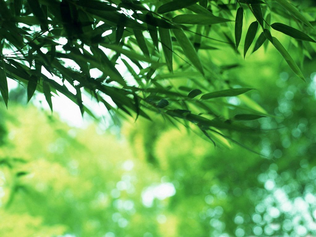 情绪对白癜风治疗的影响是什么 