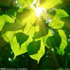 u=2580952515,3030344844&fm=0&gp=0.jpg
